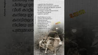 Poomuthole ❤  JOSEPH Malayalam Movie  shortvideo shorts short [upl. by Sulakcin]