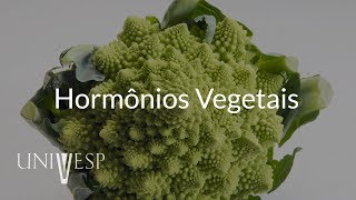 Fisiologia Vegetal  Aula 05  Hormônios vegetais [upl. by Dalenna127]