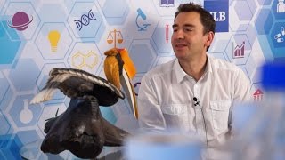 Épidémiologie et oiseau en paille Marius Gilbert dans LObjet de la Recherche 12 [upl. by Amabelle]