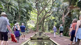 Kauai Garden Tours  McBryde amp Allerton Botanical Gardens 4K Guided Tour  Kauai  Hawaii Dec 2022 [upl. by Rodd584]