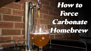 A Guide To Kegging amp Force Carbonating Homebrew [upl. by Curhan835]