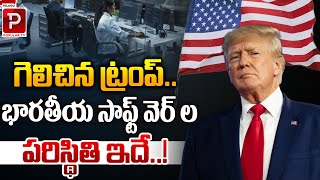 Indian Software Engineers Situation After Donald Trump Winning  US Election 2024  Telugu Popular [upl. by Leiva]