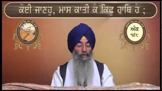 Ank 161 To 177 Shri Guru Granth Sahib Santhia Path By Giani Jagtar Singh Jachak [upl. by Jasmina]