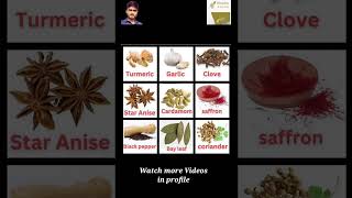 Spices Names with picture spices english spokenenglish garammasala [upl. by Lesna]