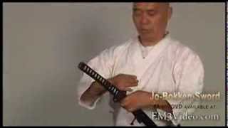 Bokken Sword  The Basics [upl. by Anavahs893]