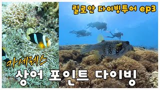 상어랑 다이빙 해봤니 릴로안 다이빙투어 ep3필리핀 세부 47 [upl. by Bone]