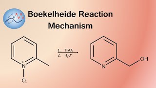 Boekelheide Reaction Mechanism  Organic Chemistry [upl. by Dougie]