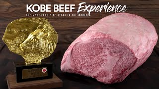 Cooking real A5 KOBE BEEF Wagyu from Japan Its Insane [upl. by Maible]