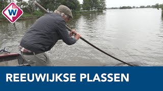 Reeuwijkse Plassen balans zoeken tussen natuur bewoners en recreatie [upl. by Lerret]