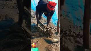 fishing fishing marathi music song fishing barramundi viral dance [upl. by Scarito]