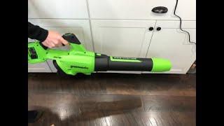 Greenworks Brushless Cordless Axial Blower Review Test  Greenworks Leaf Blower [upl. by Lisabet]