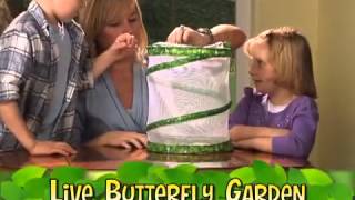 Butterfly Garden Kit [upl. by Philipps8]