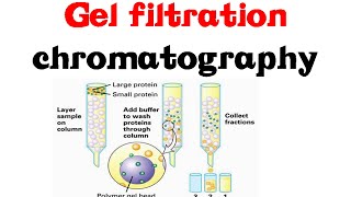 Gel filtration chromatography [upl. by Dorkus152]