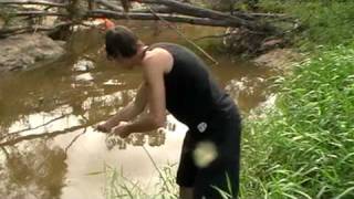 Carp Fishing Brisbane Australiampg [upl. by Branden]