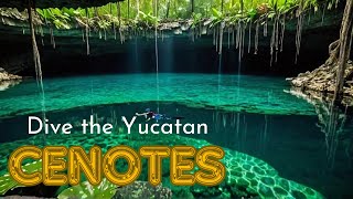 Exploring Hidden Wonders Yucatan Cenotes Adventure [upl. by Lytsirhc]