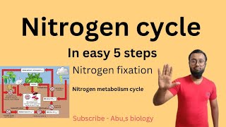 Nitrogen cycle in 5 simple steps  Nitrogen fixationnitrogen metabolismdigramatic explanation [upl. by Enaej4]