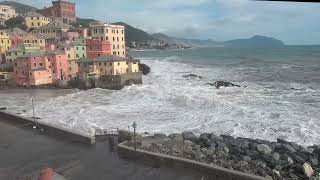 Genova mareggiata di libeccio a Boccadasse e Corso Italia [upl. by Allcot283]