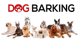 Dogs Barking Sounds To Make Your Dog REACT  34 Breeds Including Yours [upl. by Bruce837]