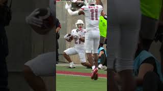 Was the catch or recovery and throw better 🧐 UNLV Jesus Sluka collegefootball catch TD [upl. by Enyahs]