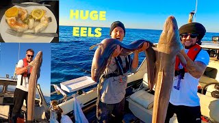 MONSTER CONGER EELS  Shipwreck Fishing in 200ft of water  Catch Clean Cook [upl. by Janot]