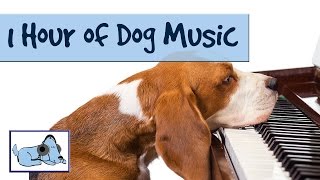 OVER 1 HOUR OF RELAXING DOG MUSIC Music for Dogs Stop Barking Great for Crate Training 🐶 RMD02 [upl. by Lehcir556]