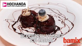 How to Make Blueberry Ice cream with bamix® and Hochanda [upl. by Agnot]