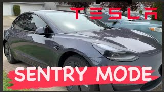 Tesla Sentry Mode Explained An Advance Auto Safety Feature 9 Cameras on Patrol [upl. by Meingoldas]