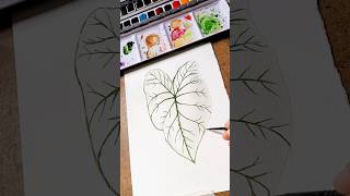 Pintando folhas em aquarela Tutorial Caladium Aquarela Botânica 🌺🌿 shorts [upl. by Retsim303]