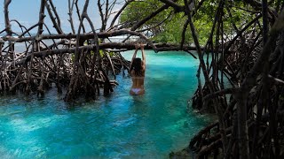 Visiting la Parguera Puerto Rico 4k [upl. by Otero]