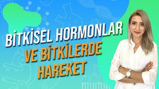 BİTKİSEL HORMONLAR VE BİTKİLERDE HAREKET  Seda Hoca Biyoloji 🧬 ayt2024 [upl. by Akceber]