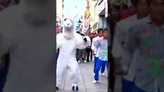 El pasito de La Llama 🦙🌎 nuestra creación La llama que baila [upl. by Llerraj]