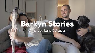 Barkyn Stories Ana Igor Luna amp Açúcar [upl. by Ernaline825]