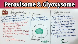 Peroxisome amp Glyoxysomes  Lectures of class 11th in UrduHindi  Jiyas Biology Tutorials [upl. by Stonwin]