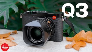 Leica Q3 – 1 Month Later Why This Camera is Sold Out Everywhere [upl. by Hume]