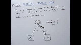 ECG Basics  Normal Frontal Cardiac Axis  RightAxis Deviation  LeftAxis Deviation [upl. by Nnylyar246]