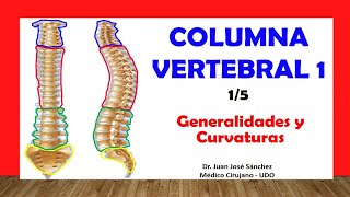 🥇 COLUMNA VERTEBRAL 15  Generalidades Curvaturas Fácil y Sencillo [upl. by Nedak953]