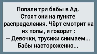 Как Три Бабы в Ад Попали Сборник Свежих Анекдотов Юмор [upl. by Annirtak]