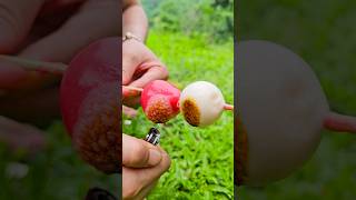 Survival Skills Simple Tips with Eye Candy and Strawberry Candy survival outdoors short camping [upl. by Normak]