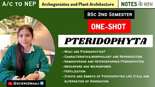 Characteristics Morphology and Reproduction of Pteridophyta  OneShot  BSC Science [upl. by Marela]