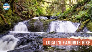 How to Hike Ludlow Falls Interpretive Trail in Port Ludlow Washington [upl. by Heinrick]