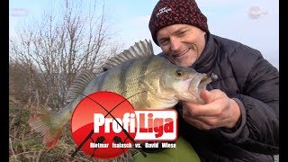 ProfiLiga Dietmar Isaiasch vs David Wiese 2 Staffel Teil 11 [upl. by Molli174]