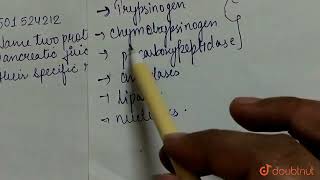 Name two proteases of pancreatic juice What are their specific roles  CLASS 11  DIGESTION AN [upl. by Oslec]