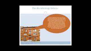 Sociobiology  A Theory of Everything [upl. by Kilah]