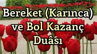 Bereket Duası  Karınca Duası  Bol Rızık Duası  Amin [upl. by Htesil]