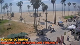 Venice Beach Webcam  Venice Beach Live Cam  venice beach live boardwalk cam [upl. by Edgar]