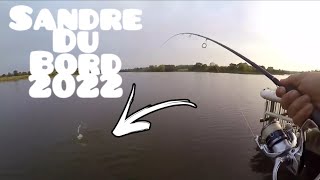 peche du sandre et de la perche du bord automne 2022  la technique la plus simple pour les nuls [upl. by Aivan823]