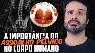 A IMPORTÂNCIA DO ASSOALHO PÉLVICO NO CORPO HUMANO [upl. by Whiffen609]