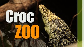 Crocodile Zoo Tour Denmark [upl. by Hsirahc]