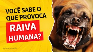 Raiva Humana Você conhece e sabe como se proteger [upl. by Fisoi828]