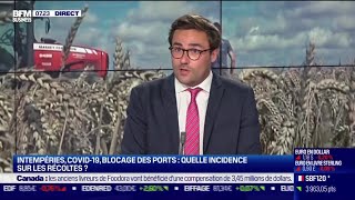 Arthur Portier Agritel  Comment se porte le marché des rmatières agricoles cette année [upl. by Aicinat]